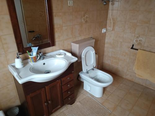 a bathroom with a sink and a toilet at La ca' dal Tunec in Valduggia