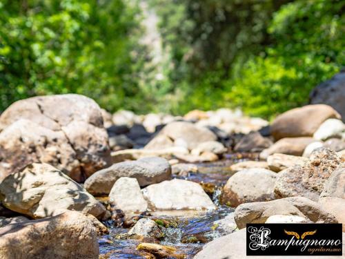 Fotografie z fotogalerie ubytování Agriturismo Lampugnano v destinaci Paganico