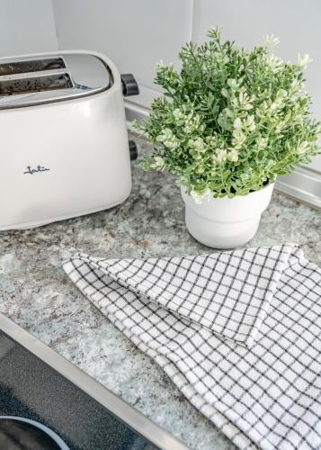 a kitchen counter with a toaster and a potted plant at Apartamentos Alday in Maliaño
