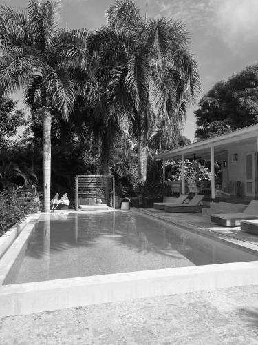 a swimming pool with palm trees in front of a house at Casa Maona in El Limón