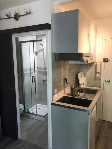 Il comprend une petite cuisine avec un évier et une douche. dans l'établissement Tamaris Studio, Pool & Beach, à La Seyne-sur-Mer