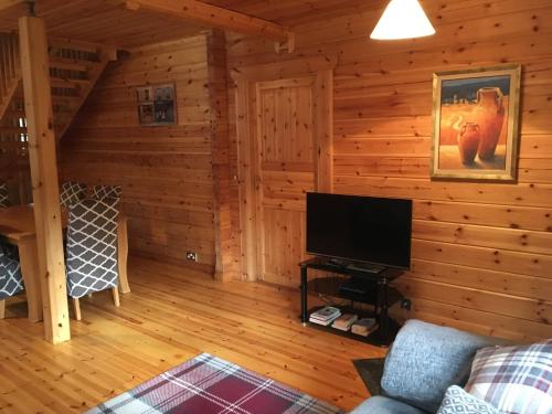 TV a/nebo společenská místnost v ubytování Bernard’s Logcabins