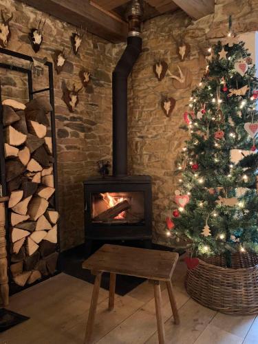 a living room with a christmas tree and a fireplace at Petite maison d'Amelotte in Sainte-Cécile