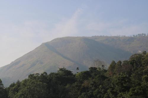 auliculiculiculiculiculiculiculiculiculiculiculiculiculiculic at Asprin Homestay in Munnar