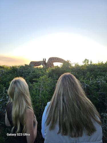 two women sitting on a hedge looking at a giraffe at Valley Bushveld Country Lodge in Addo