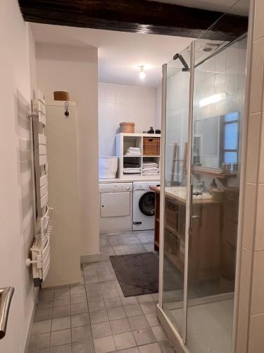 - une cuisine avec un évier et une porte de douche en verre dans l'établissement Bayonne centre Grand appartement sur les quais, à Bayonne
