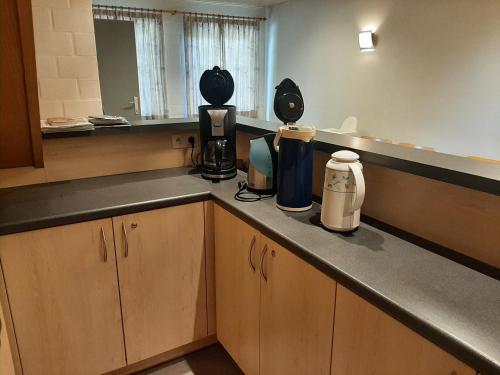 a kitchen with a counter top with appliances on it at DE MEIBOOM vakantiehoeve tot 21 pers in Langemark
