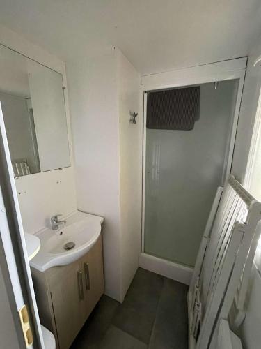 une salle de bain avec un lavabo, un miroir et une douche dans l'établissement Le rivage des Landes, à Aureilhan