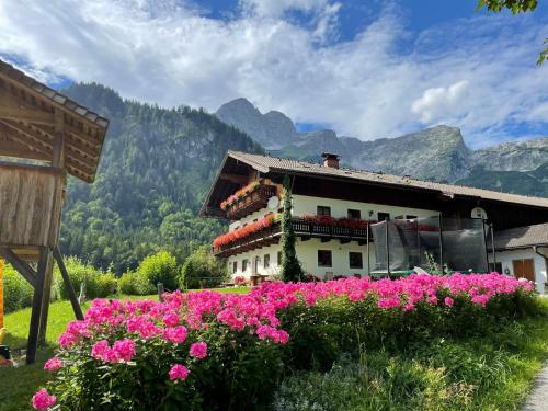 Bio-Bauernhof Vorderfromm