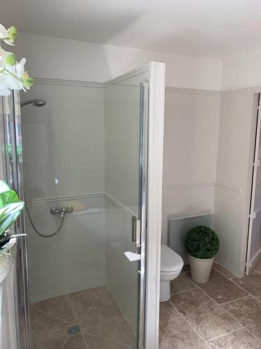 une salle de bain avec toilettes et douche en verre dans l'établissement Le Cottage Rouffignac, à Bourrou