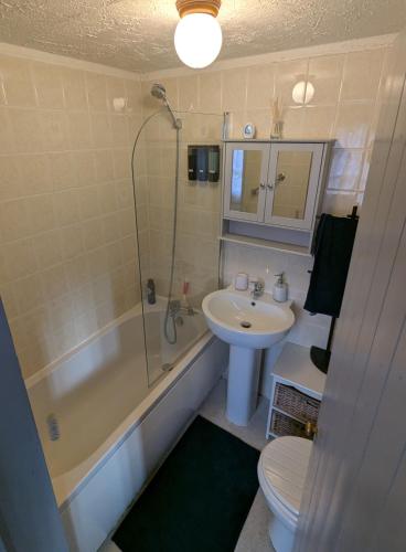 a bathroom with a sink and a toilet and a shower at Willow Cottage in Horning