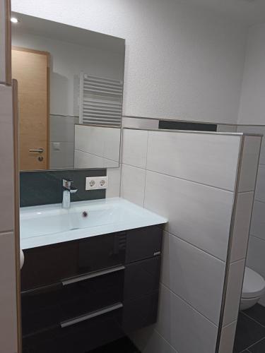 a bathroom with a sink and a mirror at Apart Trisanna in Kappl