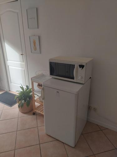 un micro-ondes posé sur un réfrigérateur dans l'établissement Studio au calme à la campagne 2, 4 ou 6 personnes, à Denonville
