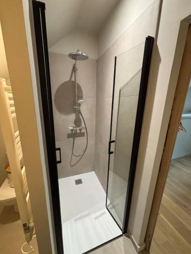une douche avec une porte vitrée dans une salle de bain dans l'établissement L'appartement, à Gruson