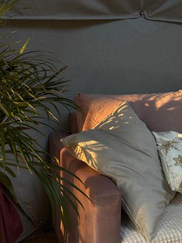 a couch with a pillow next to a plant at Kamieńczyk Glamp - pod Warszawą in Kamieńczyk