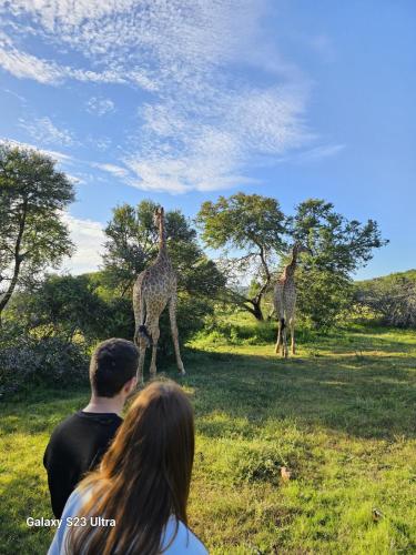 a group of people looking at giraffes in a field at Valley Bushveld Country Lodge in Addo