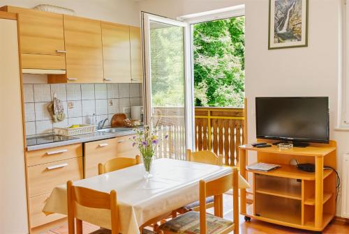 Cuina o zona de cuina de Apartments Kovačič