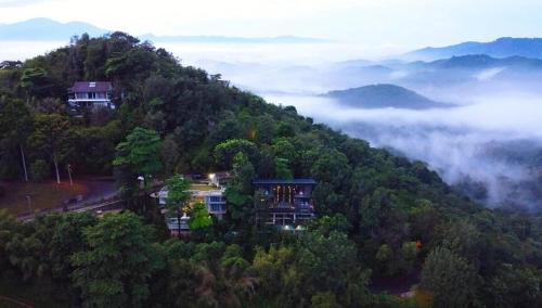 a house on a hill in the middle of a forest at The Wildwood Retreat KKB in Kuala Kubu Baharu