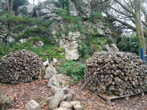 two piles of logs sitting next to a mountain at Le Rocher du Samoyède in Dirinon