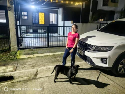 Domácí mazlíčci ubytovaní s hosty v ubytování Queen Abby's staycation