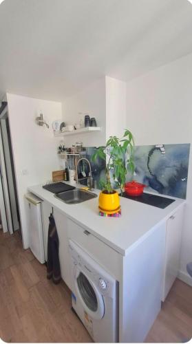 une cuisine avec un évier et une machine à laver dans l'établissement Escale dans le haut Marais, à Paris