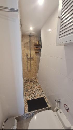 une salle de bain avec une douche avec des toilettes et un lavabo dans l'établissement Escale dans le haut Marais, à Paris