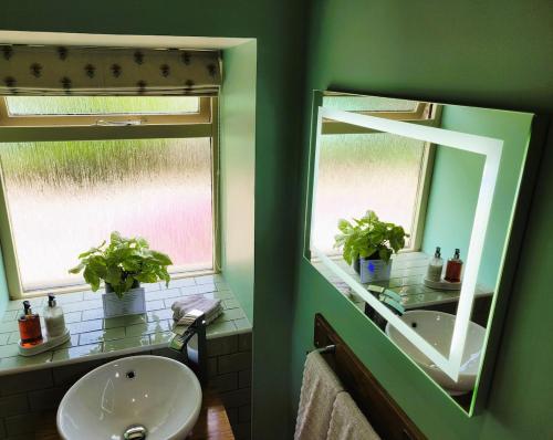 a bathroom with a sink and a mirror at Bespoke Luxury Self Catering Dog Friendly Accommodation in Archiestown