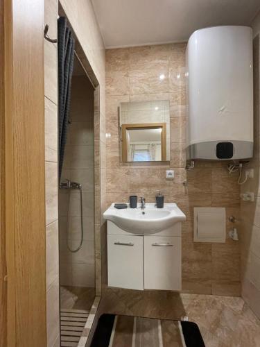 a bathroom with a sink and a shower at Apartmán Pohoda in Břeclav