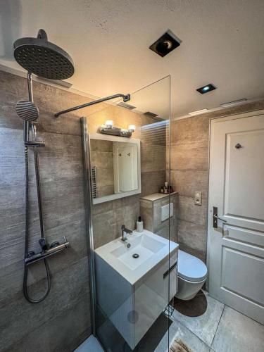 une salle de bain avec un lavabo et des toilettes dans l'établissement L'Elegant - Hôtel Particulier Historique, à Montpellier