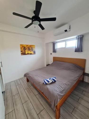 a bedroom with a bed with a ceiling fan at Tablas Seaview Homestay in Ferrol