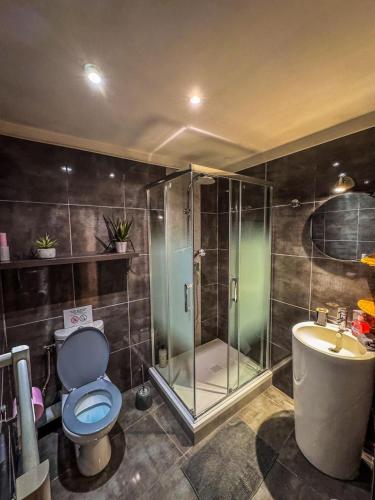 une salle de bain avec une douche, des toilettes et un lavabo dans l'établissement La Suite du Peyrou - 50m de l'Arc de Triomphe, à Montpellier
