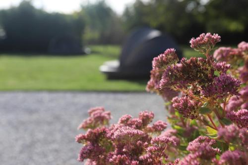 Giardino di The Secret Garden – Keszthely