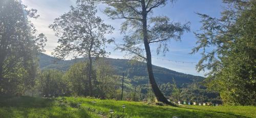 Φυσικό τοπίο κοντά σε αυτή η παραθεριστική κατοικία