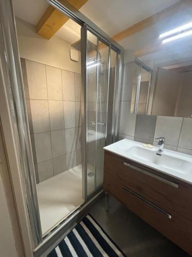 une salle de bain avec douche et lavabo dans l'établissement village house, à Val Cenis