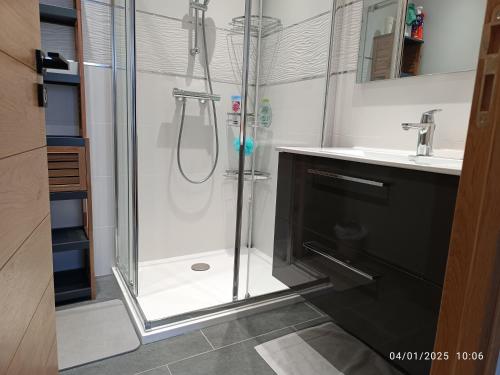 une salle de bain avec douche et lavabo dans l'établissement Bel appartement avec vue en centre ville, à La Londe-les-Maures