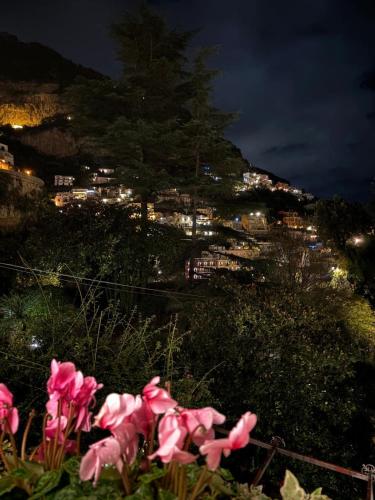 a bunch of pink flowers with a city in the background at Villa Leonardo in the heart of Positano in Positano