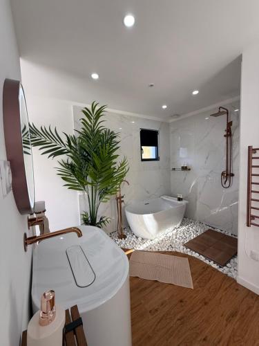a bathroom with a tub and a plant in it at Magnifique maison vue spa détente nature à Limoux in Limoux