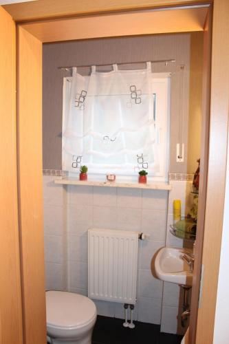 a bathroom with a toilet and a sink and a window at Ferienhaus MeinWeg in Wassenberg