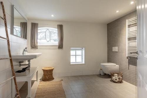 a bathroom with a sink and a toilet at B&NB The Barnhouse in Bergambacht