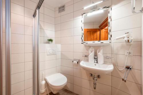 een badkamer met een toilet, een wastafel en een spiegel bij Ferienhaus Hubertus - PRECHTLHOF in Flachau