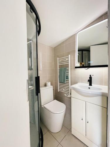 une salle de bain avec toilettes et lavabo dans l'établissement Le Penthouse de La Rochelle, à La Rochelle