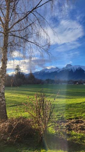 Afbeelding uit fotogalerij van Auszeit in Wattenwil