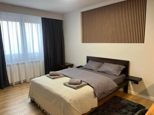 SurčinSurčin Grape Vine Apartments的一间卧室，床上有两个枕头