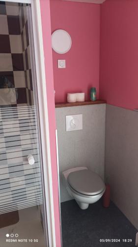 La salle de bains rose est pourvue de toilettes et d'une douche. dans l'établissement Lolft 3 PROCHE FUTUROSCOPE, à Fontaine-le-Comte