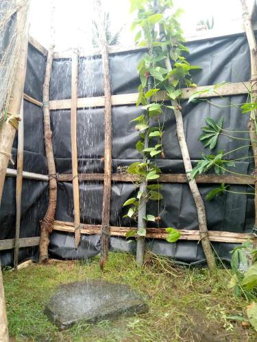a bamboo fence with a plant in front of it at House of Freedom in Hambantota