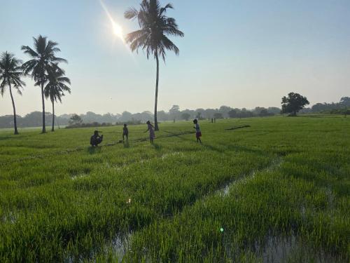 a group of people in a field with a palm tree at Moonshade Handapanagala in Monaragala