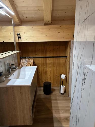 Kuchyň nebo kuchyňský kout v ubytování La Rose des neiges à Châtel