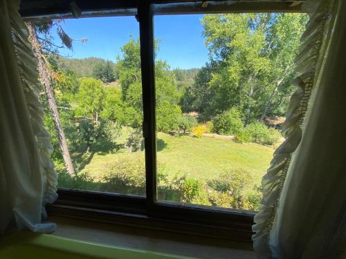 a window with a view of a field of trees at Casa amplia con piscina y quincho in Concepción