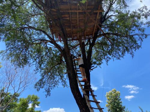 a person climbing a tree in a tree house at Moonshade Handapanagala in Monaragala