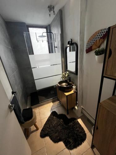 une salle de bain avec un lavabo et un miroir dans l'établissement Appartement familiale proche château de Fontainebleau, à Avon